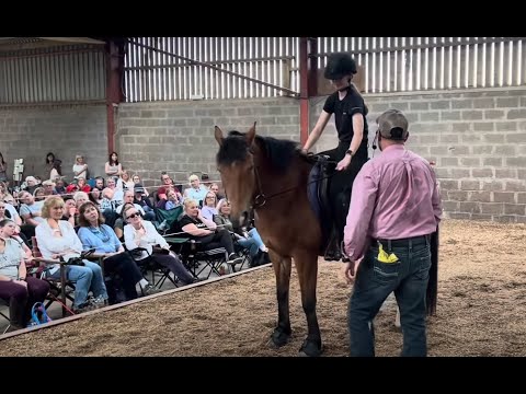 Scotland Horsemanship Demo!!