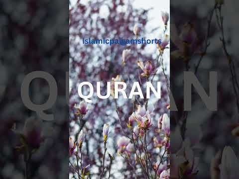 Quran recitation #quran #whattsupstatus #shortsvideo #shortsfeed #islamicshorts #shorts #video # yt