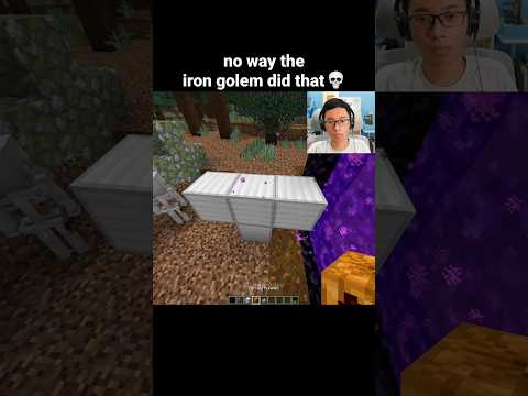 Minecraft Iron Golem Moment