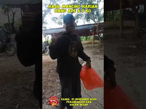 GACOR! HASIL MANCING HARIAN BANG ADE 6.7 KG DI PEMANCINGAN EMA #mancing #ikan #empang #tangerang