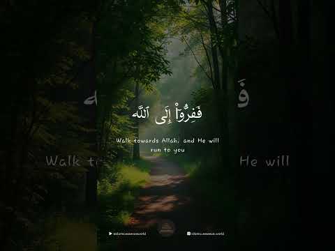 Walk towards Allah, and He will run towards you.💙✨ #islamicreminder #allahiswithus #fleetoallah