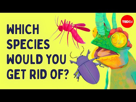 Which species would you get rid of? | Ada, Ep. 5