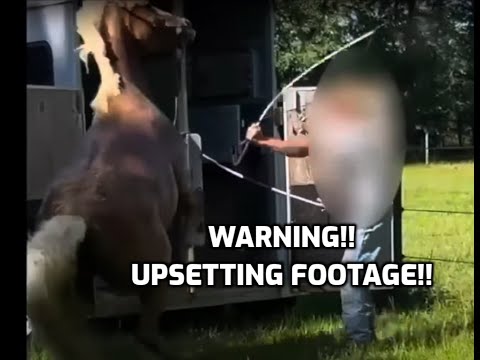 WORST HORSE TRAINING EVER!! VIEWER DISCRETION ADVISED