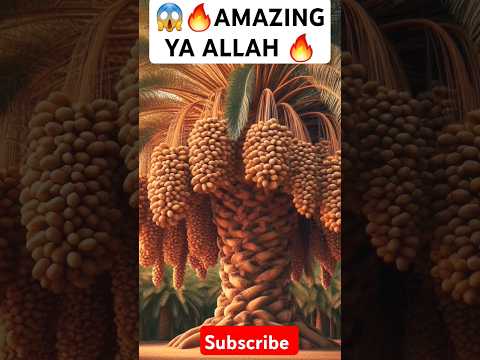 😱🔥Amazing |Ya Allah |Delicious dates #shorts