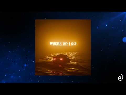 Nicky Romero x Vikkstar x Alpharock x Oaks - Where Do I Go (Acapella)