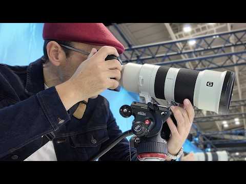 Sony FE 400-800mm - Ultimate BUDGET Bird & Wildlife Lens?