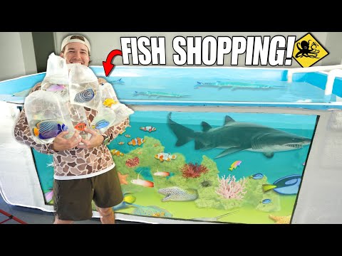 BUYING FISH from EVERY FISH STORE for the Giant SALTWATER POND!