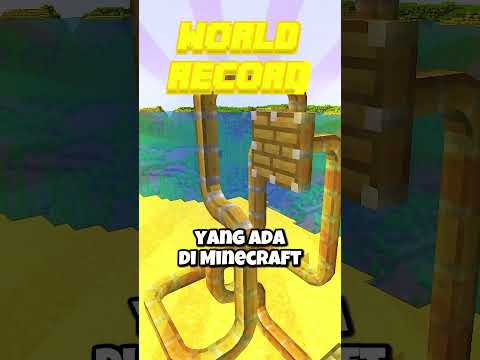 World Record Piston TERPANJANG Yang Ada Di Minecraft