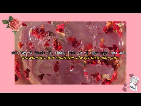 strawberries & cigarettes - troye sivan lyrics//vietsub