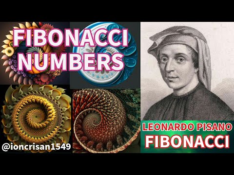 FIBONACCI SEQUENCE