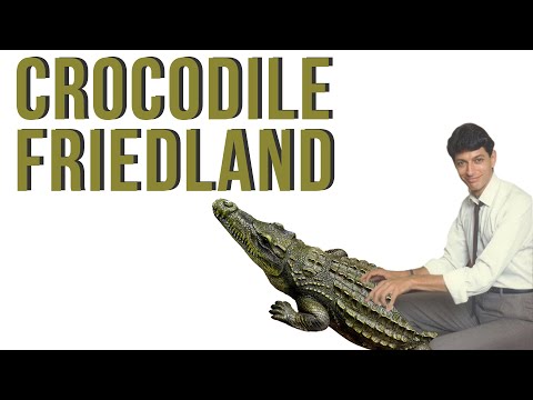 Crocodile Friedland