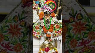 Witness Today's Unprecedented Divine Darshan! @03.07.2023 #deity_darshan #deity #darshan #darshantv