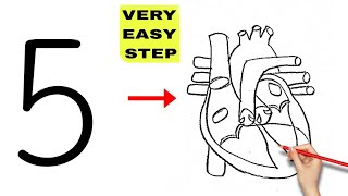 5 number turns into Human Heart Diagram drawing class 10 science biology