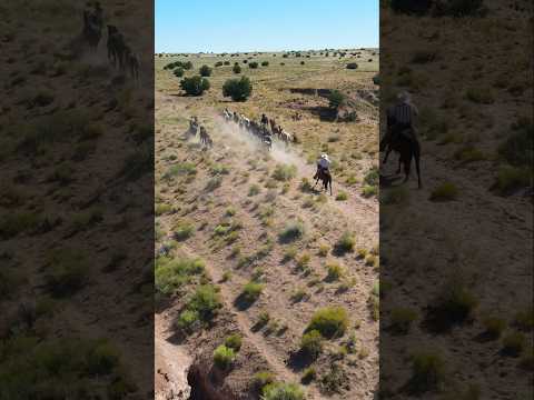 Just playin’ cowboy. #horseranch #arizona