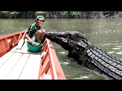 Most Emotional Animal Reunions With Owners After Years!