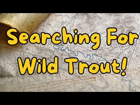 Fly Fishing - Chasing Blue Lines on a Map | Sierra Nevada Mountains