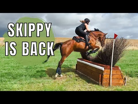 SKIPPY IS BACK!| XC Schooling at Primrosehill