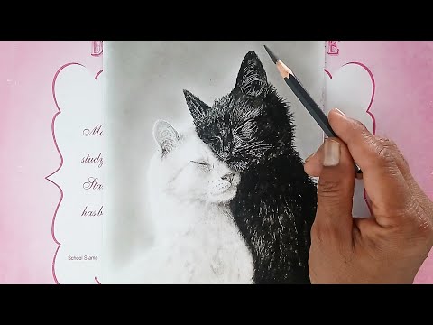 How to draw black and white cats picture/ Pencil drawing easy/