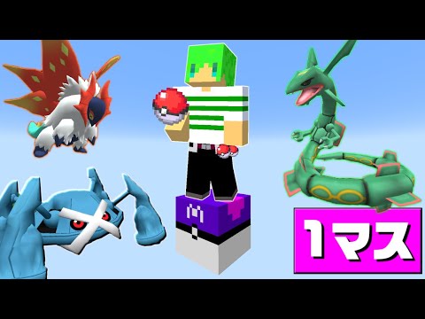 1マスからポケモンが出てくる世界でサバイバル【マインクラフト】