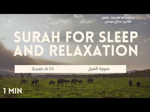 Surah For Sleep: Surah Al Fil | Beautiful Recitation by Salah Mussaly