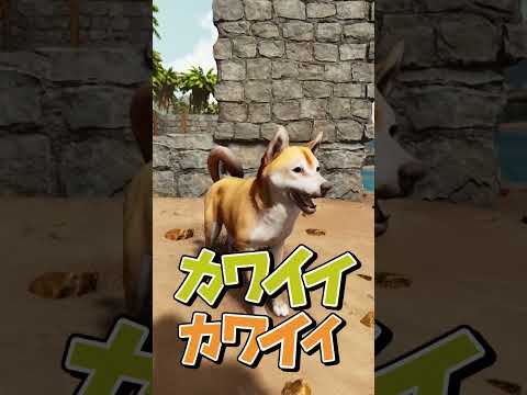 【ASA/MOD紹介】激きゃわ柴犬を仲間に出来るMODを紹介【ゆっくり実況/アークサバイバルアセンデッド】#shorts #arksurvivalevolved  #ゲーム実況 #ゆっくり実況