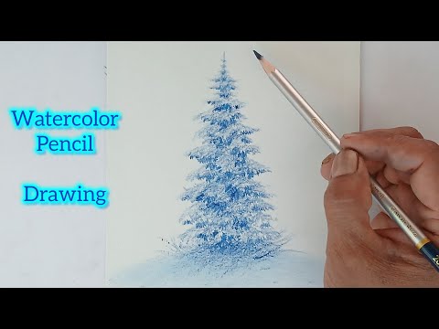 How to draw snowy tree by watercolor pencil/ christmas tree, spruce tree, pine tree.