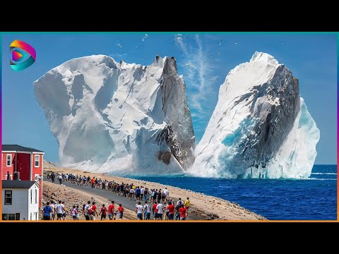 One in A Billion Moments in Nature | Best Of The Year