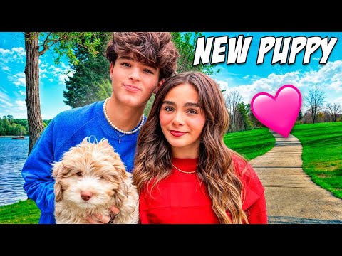 NAMING THE NEW PUPPY!