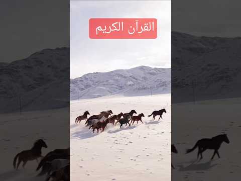 Quran translation #quran #backtonature #motivation #ytshorts