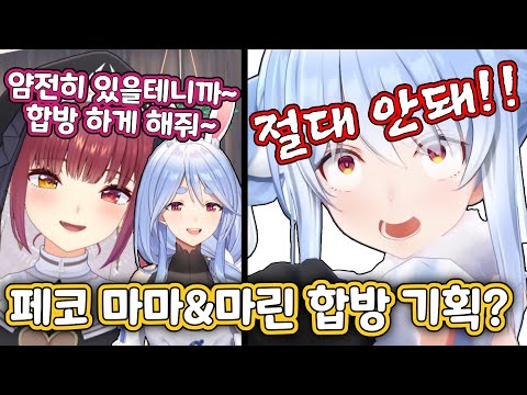 마린한테서 페코 마마를 지키려는 페코라 [홀로라이브/우사다 페코라/호쇼 마린]