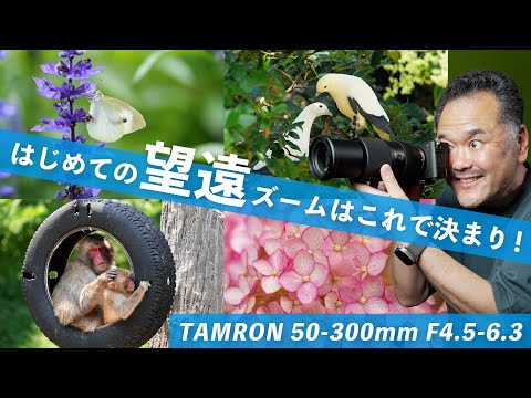 タムロン50-300mm望遠レンズを試した結果！軽さとパフォーマンスがスゴイ！