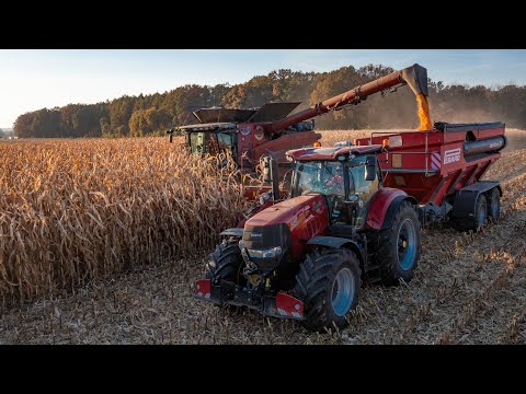 Combine harvester CASE IH 9240 AXIAL-FLOW during summer and autumn harvest | CASE IH tractors