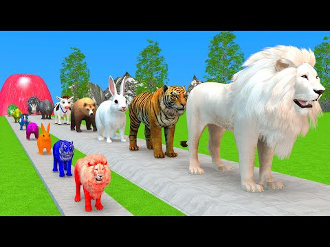 Paint & Animals Cow,Gorilla,Elephant,Giraffe,Tiger,Lion, Fountain Crossing Transformation Cartoon