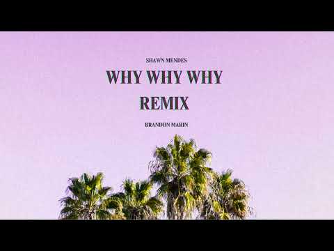 Shawn Mendes - Why Why Why (Brandon Marin Remix)