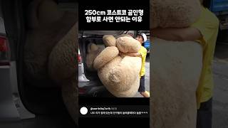 250cm 곰인형 함부로 사면 안되는 이유