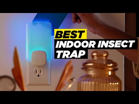 Top 5 Best Indoor Insect Trap 2023 - Hami Gadgets