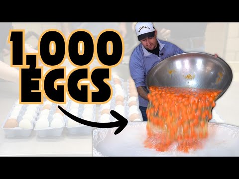 I Made Pasta with 1,000 Eggs!