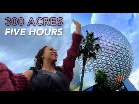 Only 5 Hours in DISNEY WORLD? Bring it on!