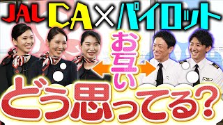 【座談会】CAとパイロットの本音！JALの社内事情ぶっちゃけます