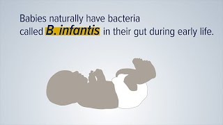 Baby Guts Benefit from B. Infantis