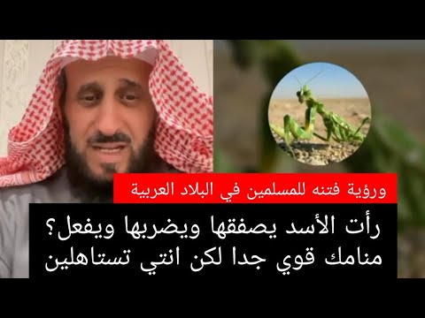 رأت الأسد يصفقها ويضربها ويفعل؟منامك قوي جدا لكن انتي تستاهلين الشيخ_فهد_القرني