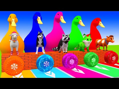 5 Giant Duck Cartoon, Paint & Animals Lion, Gorilla, Bear,Tiger , Cow Wild Animals Crossing Fountain