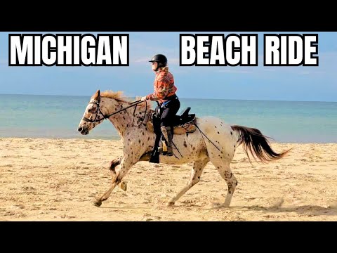 THE RIDE OF A LIFETIME! Michigan Shoreline Ride #equestrian