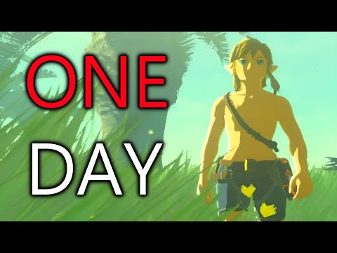 Can I BEAT Breath of the Wild in 1 DAY?