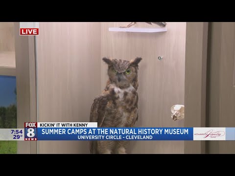 Renovated museum offers summer camps for kids of all ages