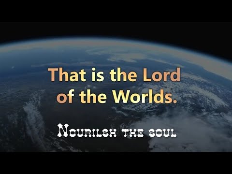 Surah Fussilat | Mishary Rashid Al Afasy | Nourish the soul