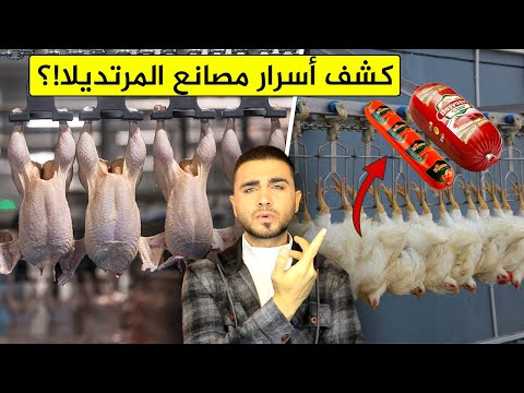 مصانع المرتديلا من الدجاجة حتى التغليف😱 هل الشائعات حول المرتديلا حقيقية🤔 شاهد بنفسك