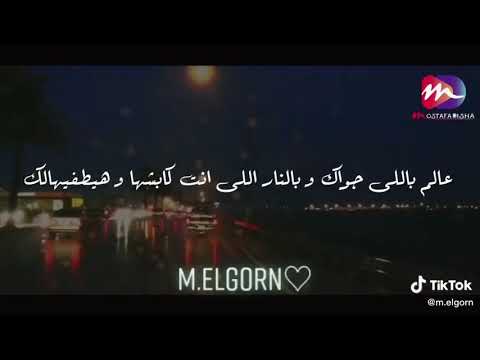 ربنا مابينساش.. عالم بالجواك 🤗.. القران الكريم