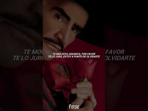 Vicente Fernandez - Un millón de primaveras (Letra)