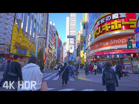 Daytime Winter Walk in Shinjuku Kabukicho – A Journey From Crowds to Peaceful Alleys | Japan